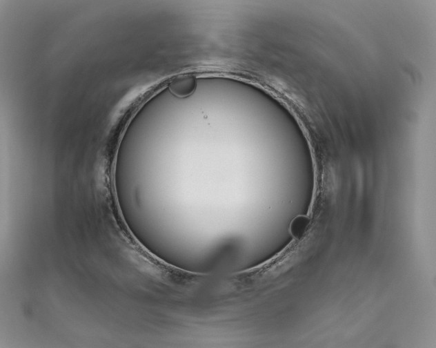 X0000111191454200907011402