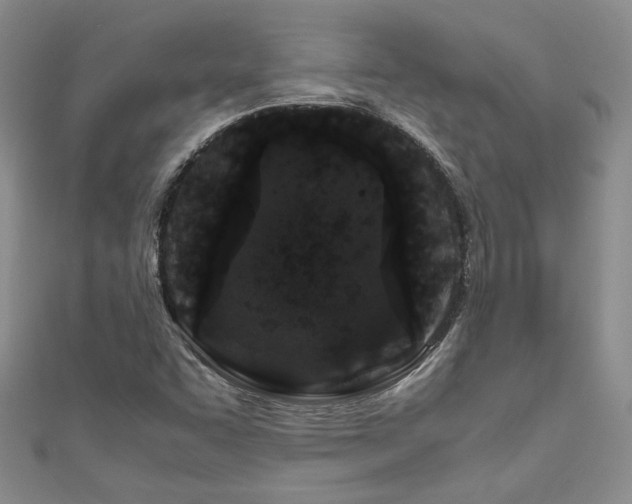 X0000111191455200907011402