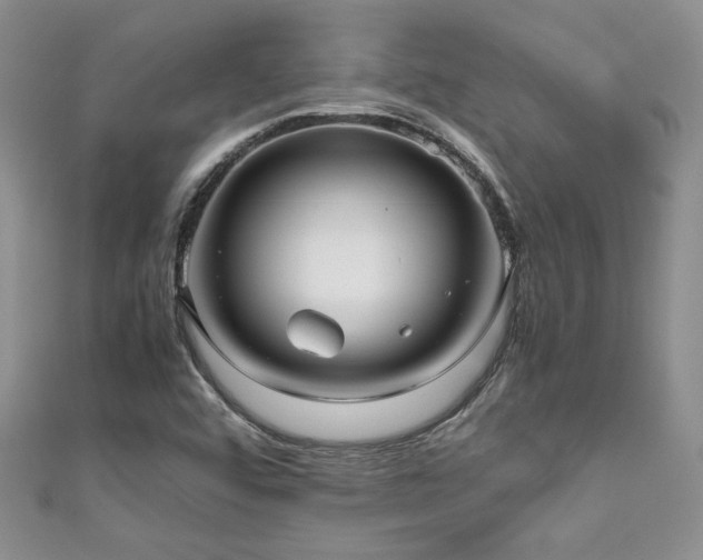 X0000111191456200907011402