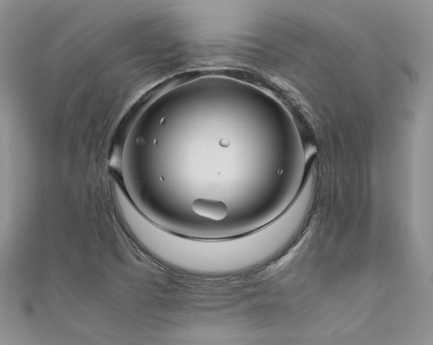 X0000111191457200907011402