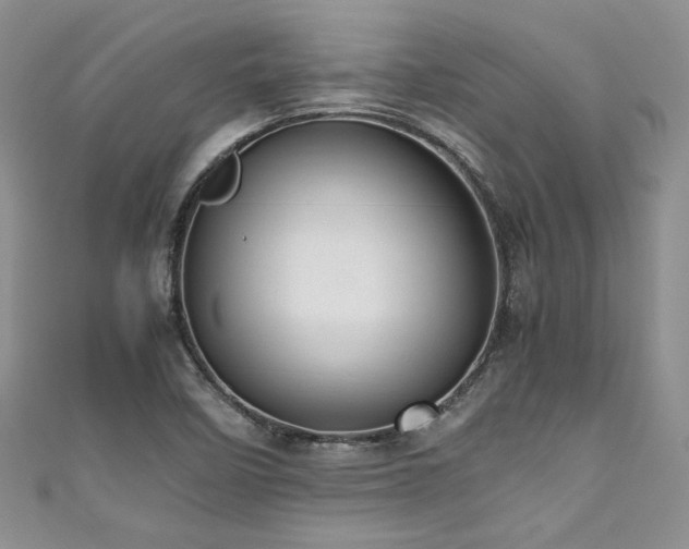 X0000111191458200907011402