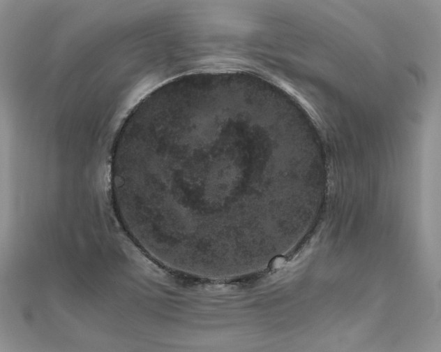 X0000111191459200907011401