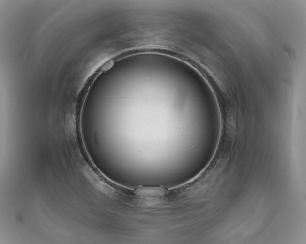 X0000111191460200907011401