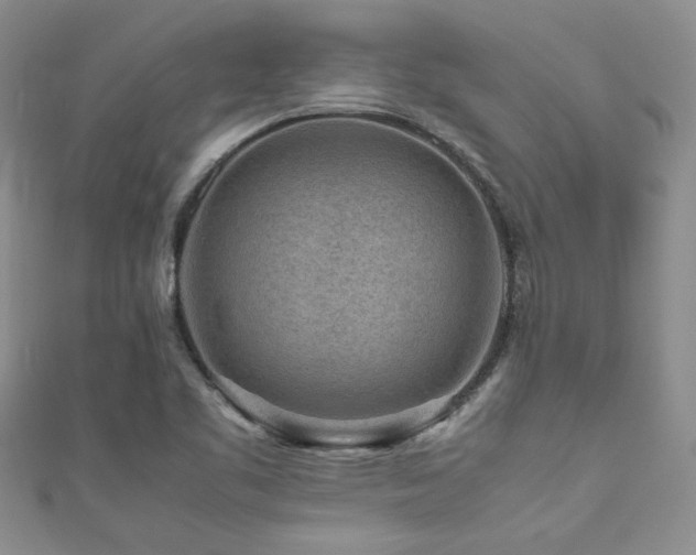 X0000111191461200907011401