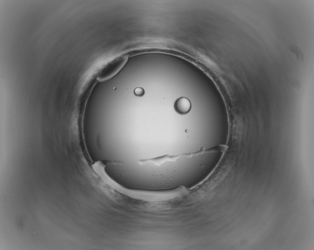 X0000111191464200907011401