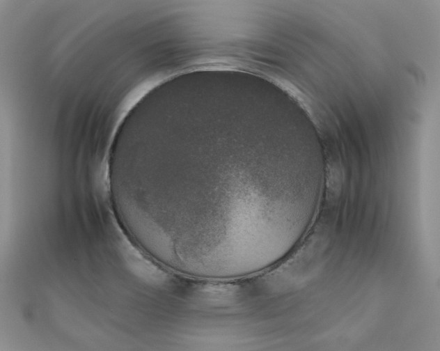 X0000111191466200907011401