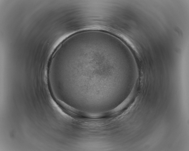 X0000111191468200907011401