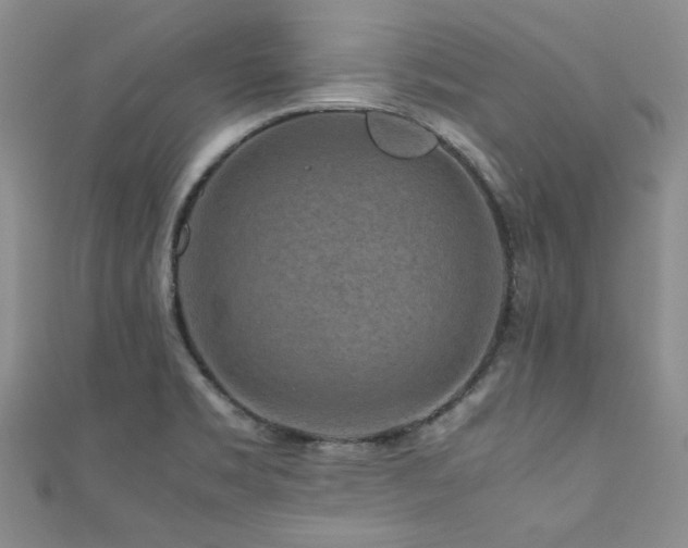 X0000111191469200907011401