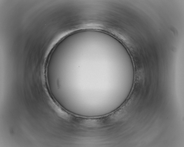 X0000111191470200907011401