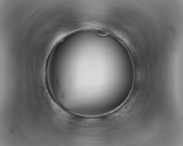 X0000111191471200907011401