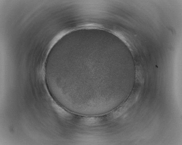 X0000111191474200907011401