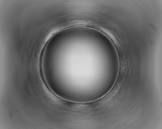 X0000111191475200907011401