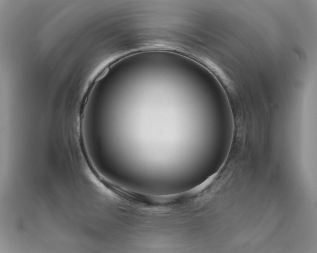 X0000111191476200907011401