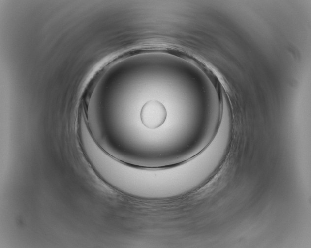 X0000111191477200907011401