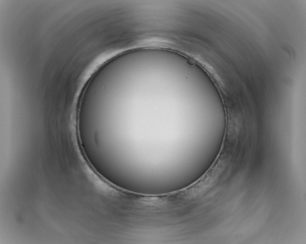 X0000111191478200907011401