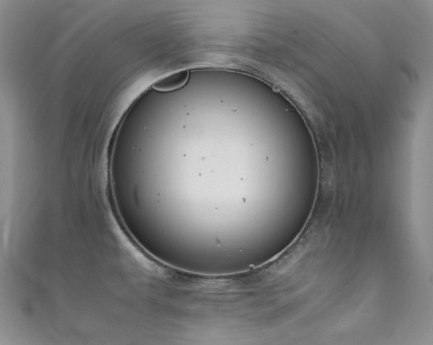 X0000111191479200907011401