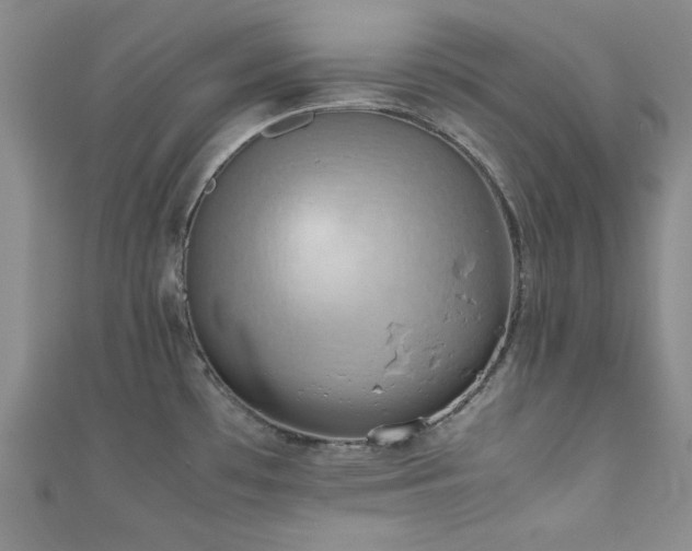 X0000111191481200907011401