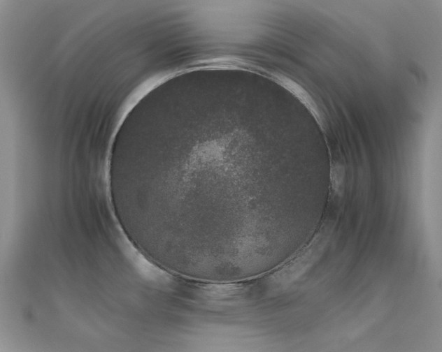 X0000111191482200907011401