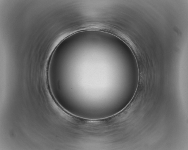 X0000111191483200907011401