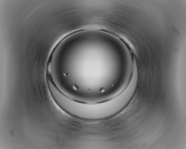 X0000111191484200907011401