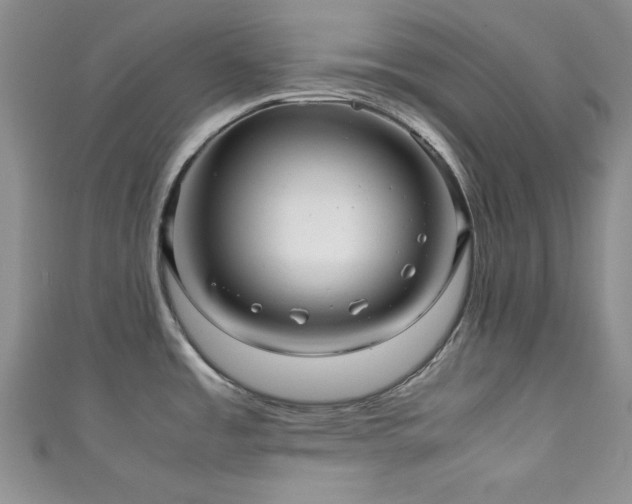 X0000111191485200907011401