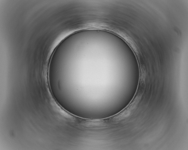 X0000111191486200907011401