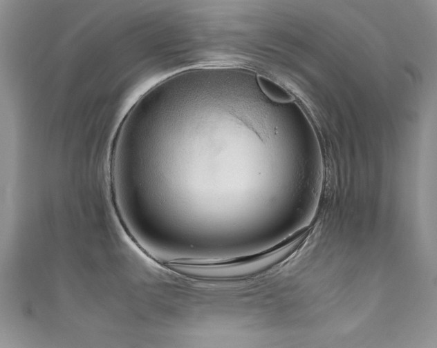 X0000111191487200907011401