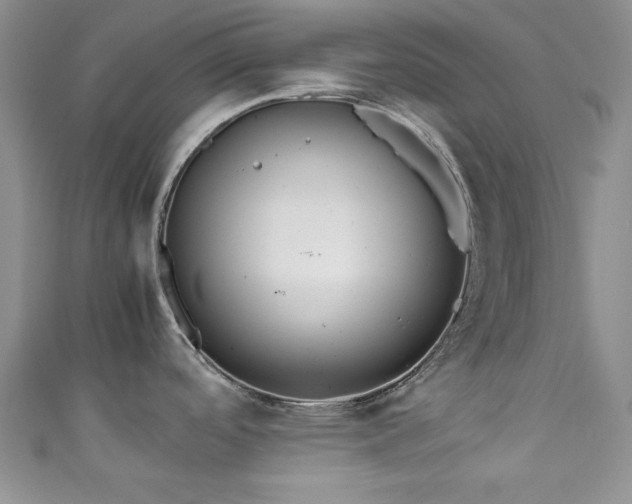 X0000111191488200907011401