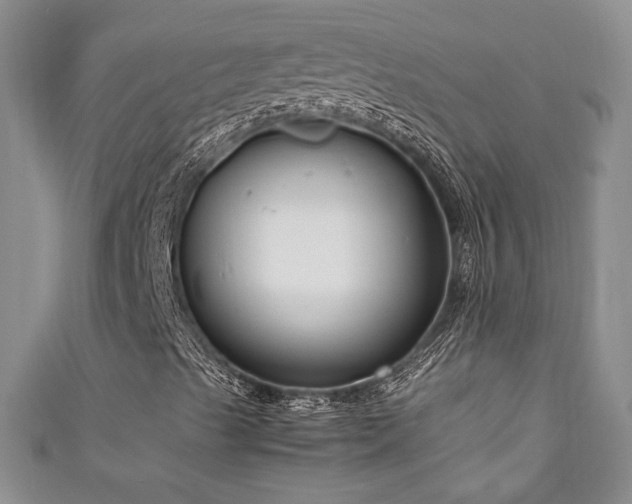 X0000111191489200907011400