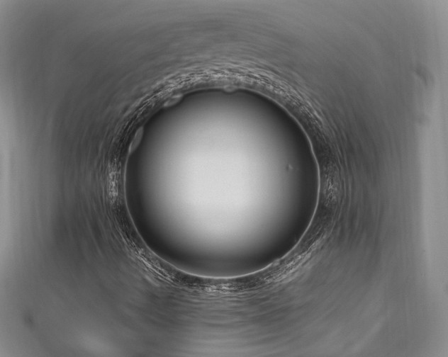 X0000111191490200907011400