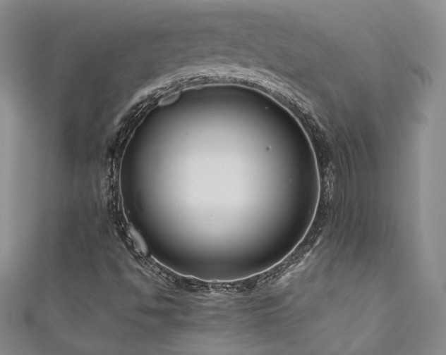 X0000111191494200907011401