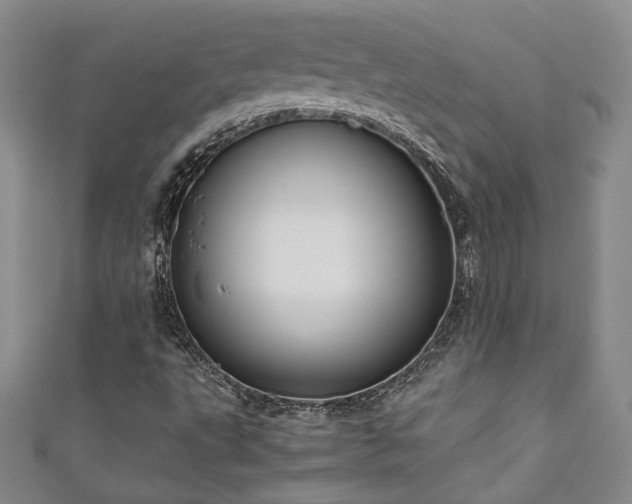 X0000111191495200907011401