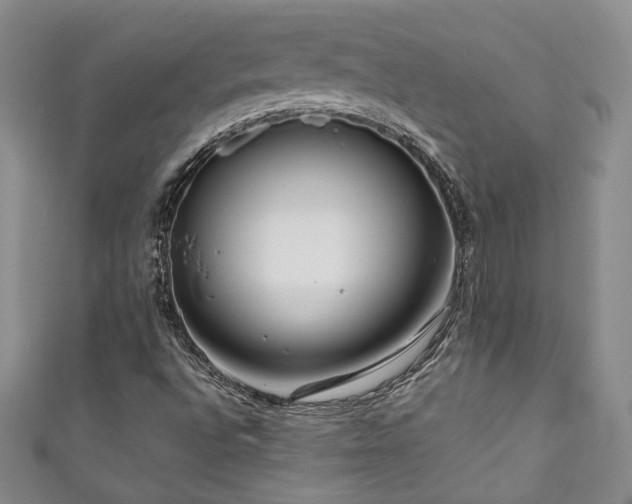 X0000111191496200907011401