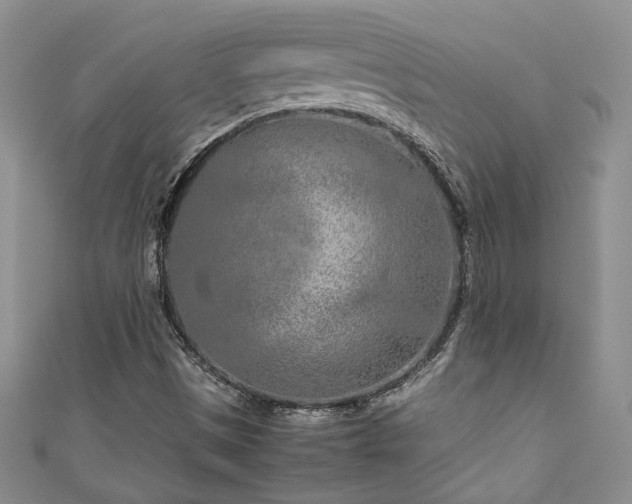 X0000111191497200907011401