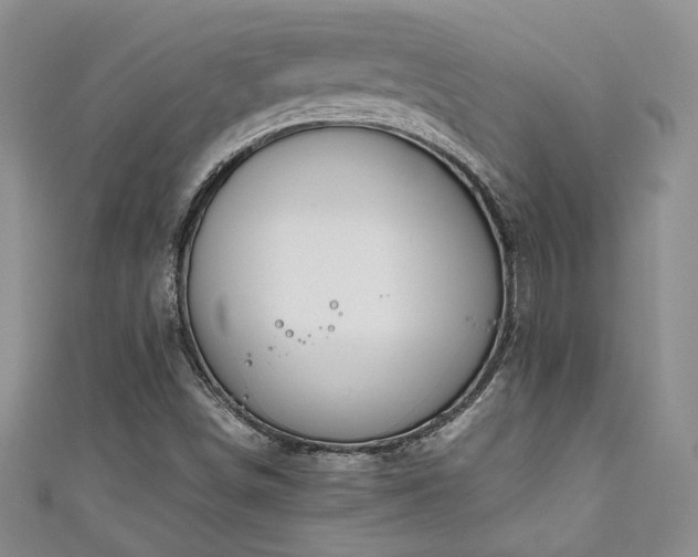 X0000111191498200907011401