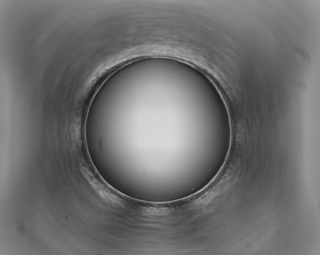 X0000111191499200907011401