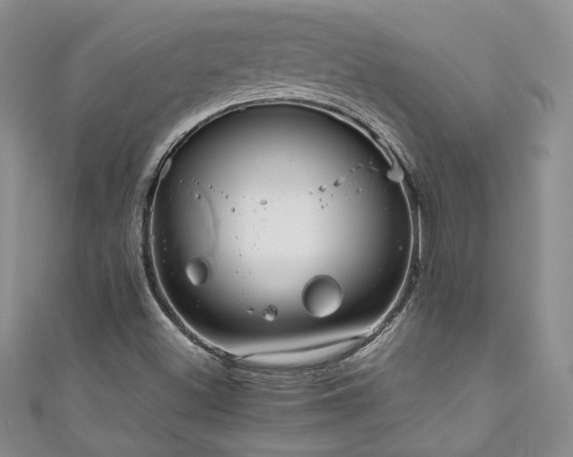 X0000111191500200907011401