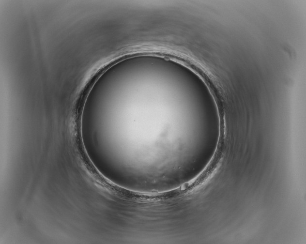 X0000111191501200907011401