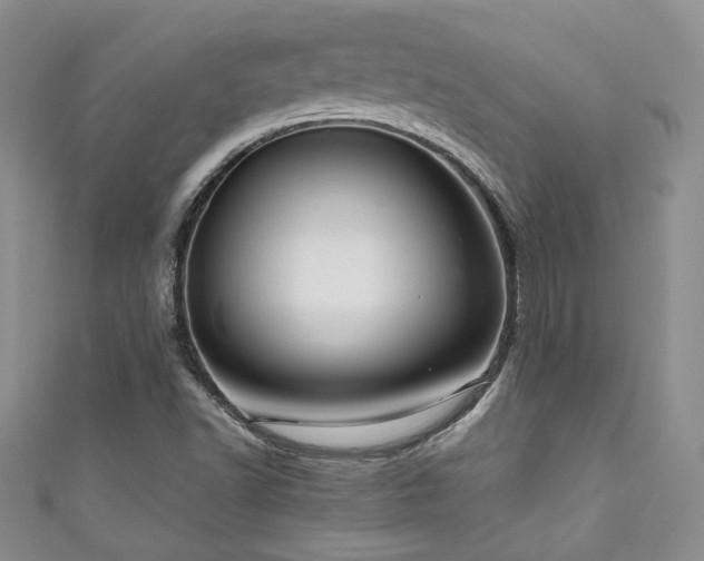 X0000111191502200907011401