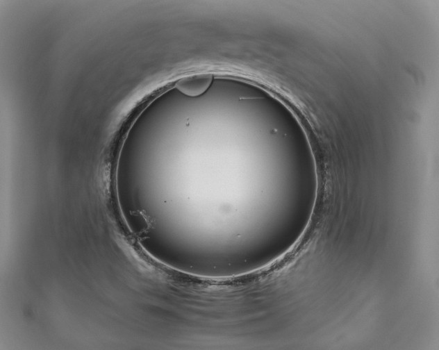 X0000111191503200907011401