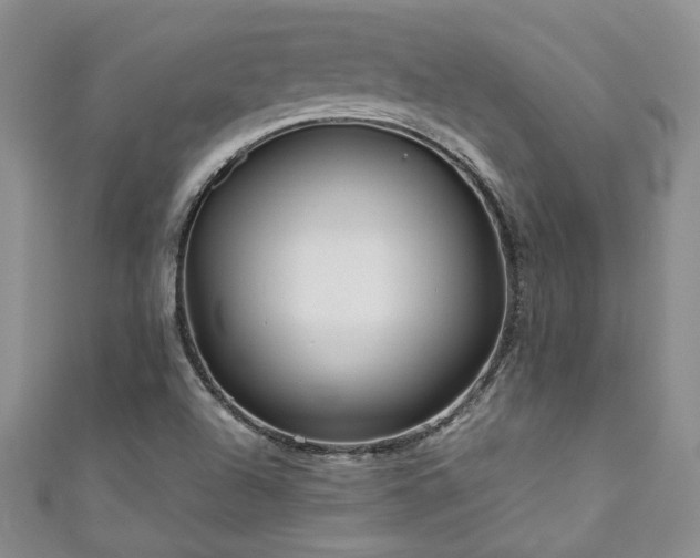 X0000111191504200907011401