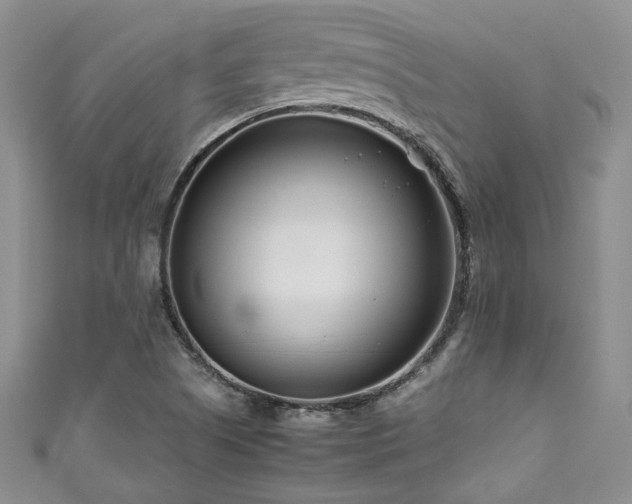 X0000111191505200907011401