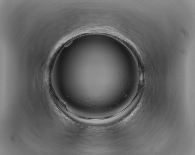 X0000111191506200907011401