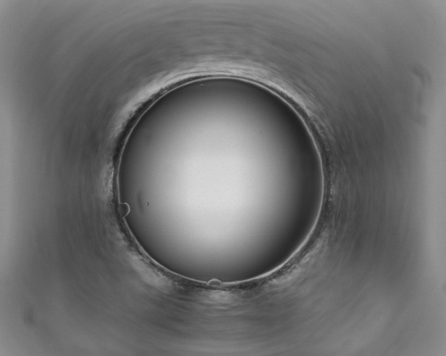 X0000111191507200907011401