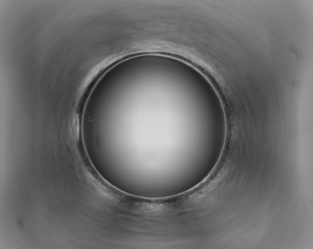 X0000111191509200907011401