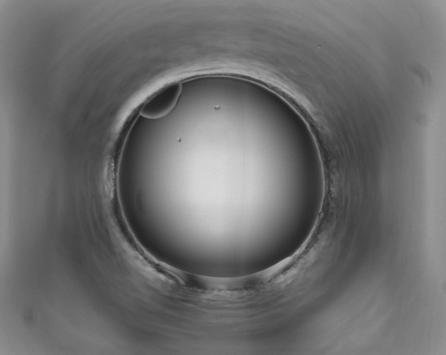 X0000111191510200907011401