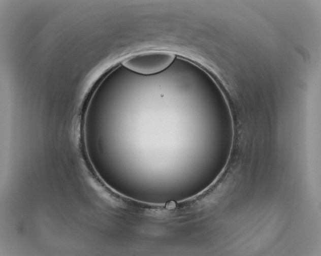 X0000111191511200907011401