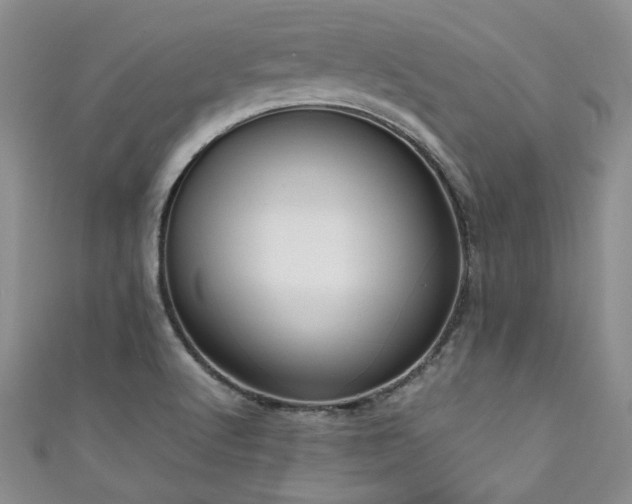 X0000111191512200907011401