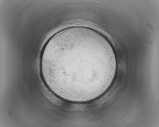 X0000111191514200907011401