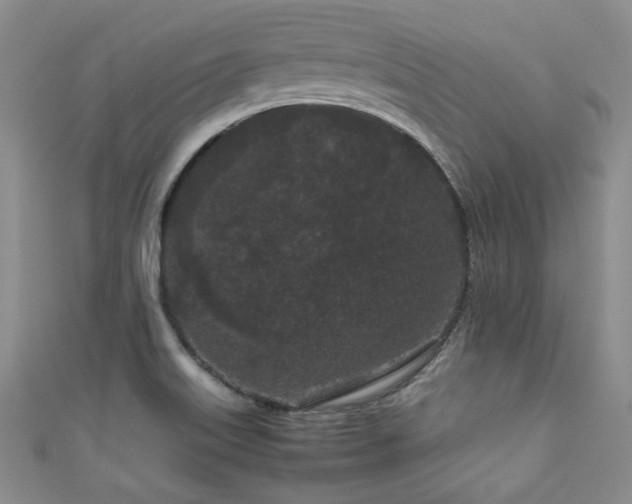 X0000111191515200907011401